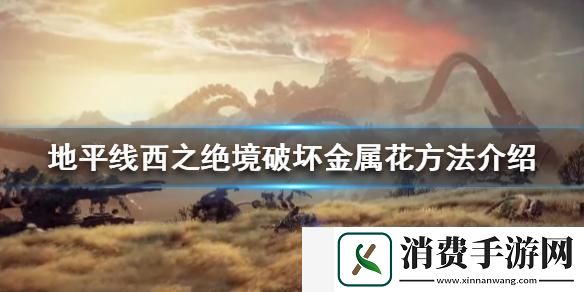 金属花如何破坏-破坏金属花的绝招