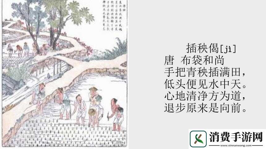 插秧七十二招式：揭秘农耕智慧的独特魅力