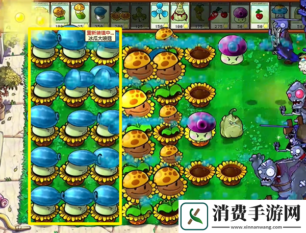 植物大战僵尸杂交版热狗射手2怎么通关植物大战僵尸杂交版热狗射手2通关攻略