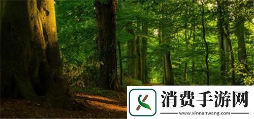 臭小子姨妈腰快断了马东：社会关注的背后真相