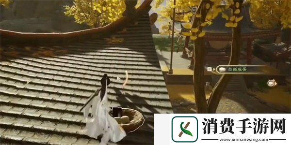射雕手游白额燕蛋怎么收集