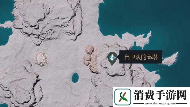 幻兽帕鲁全高塔位置大全