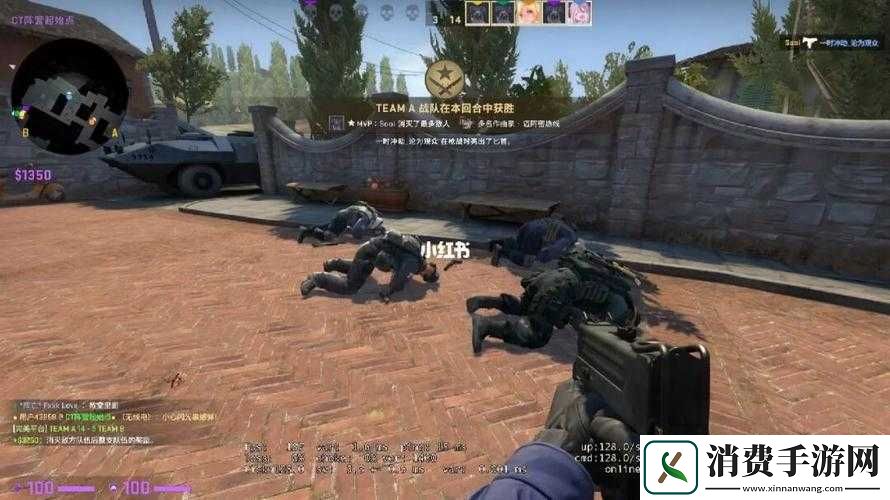 CSGO暴躁妹妹与LOGO对比：燃爆电竞圈的独特较量