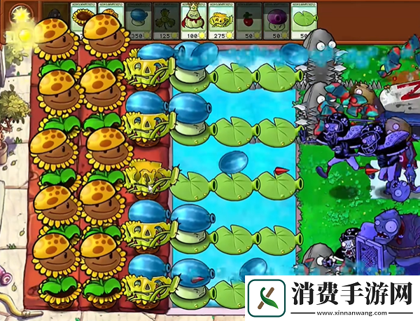 植物大战僵尸杂交版钢刺坚果王1怎么通关钢刺坚果王1通关攻略