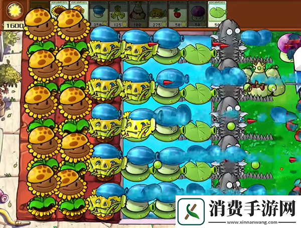 植物大战僵尸杂交版钢刺坚果王1怎么通关钢刺坚果王1通关攻略
