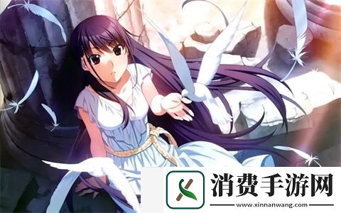 4s4s4ss色大众:不同风格选择-定制属于自己的汽车生活