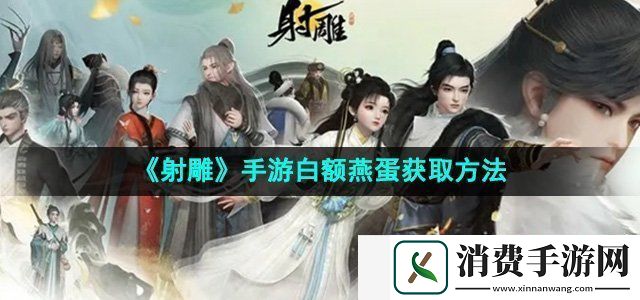 射雕手游白额燕蛋怎么收集：独家揭秘内幕