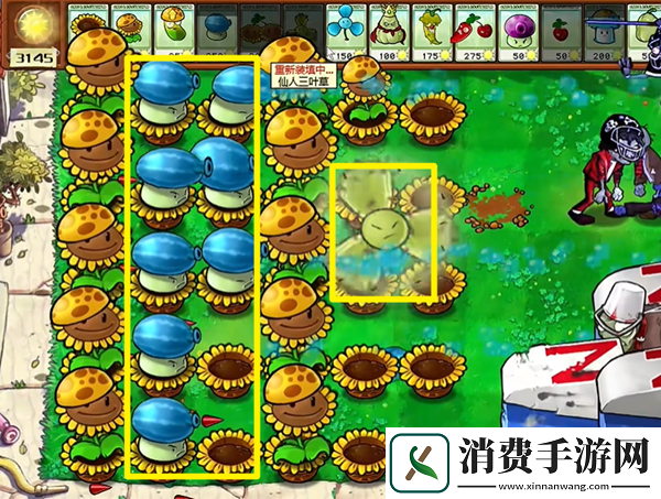 植物大战僵尸杂交版热狗射手2怎么通关植物大战僵尸杂交版热狗射手2通关攻略