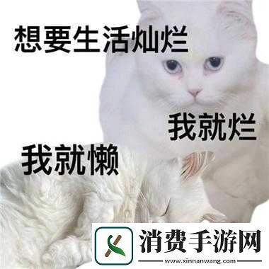 铜铜铜好大好刺激