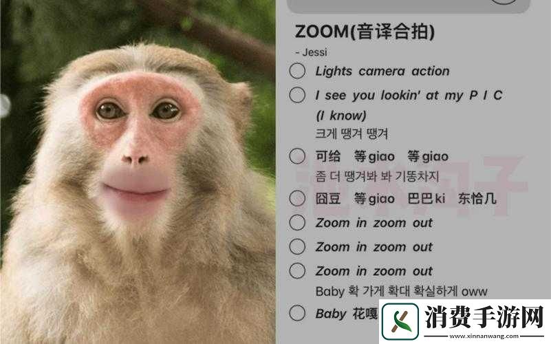 最新美国-ZOOM-动物相关内容