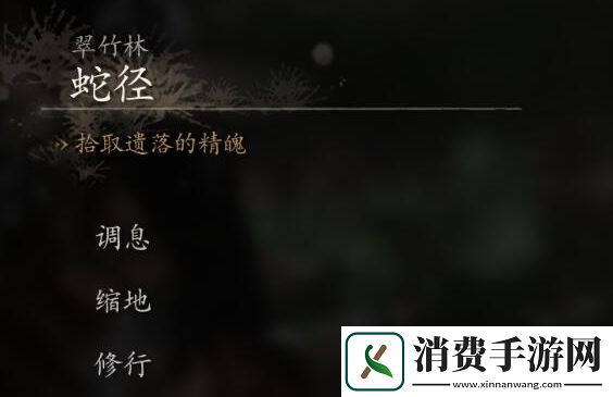黑神话悟空未经点化无法吸存精魄怎么办未经点化无法吸存精魄解决方法