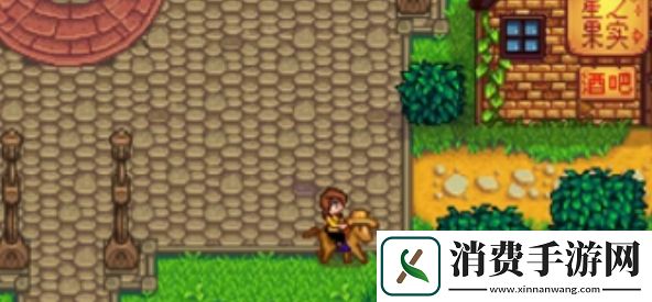 星露谷物语太阳精华刷取位置一览