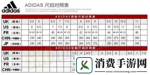 三叶草亚洲尺码和欧洲尺码区别：时尚界的神秘密码