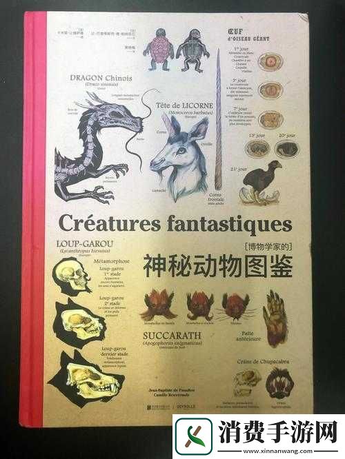 PYTHON人马兽：探索神秘的编程幻想生物