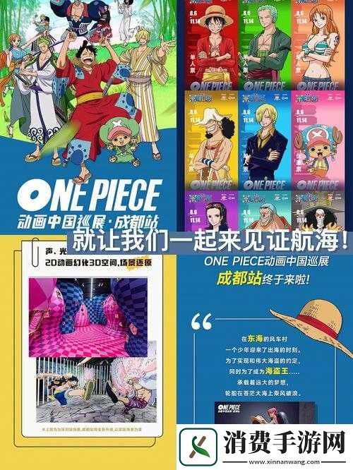 成都私人小影院品牌加盟海贼王：开启娱乐新潮流
