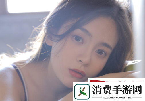 WordPress成品站：快速搭建站的理想选择