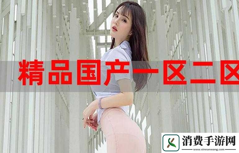 国产精产国品一二三产区区别：探寻背后的产业密码