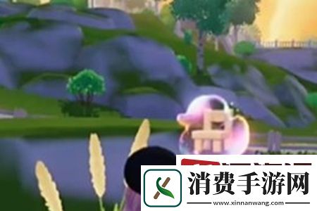 心动小镇沙滩乐园季第二天小橙鸭在哪拍