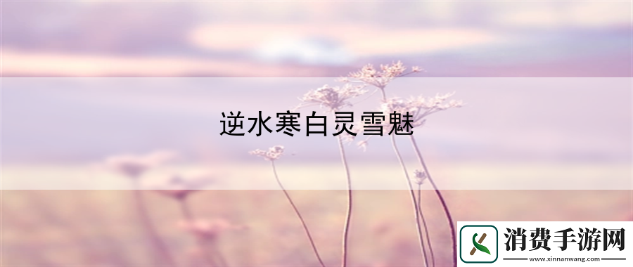 逆水寒白灵雪魅：团队协作默契提升法