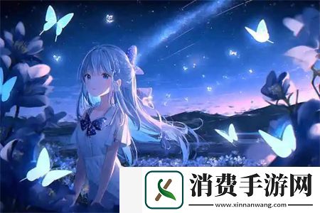成品站入口隐藏通道：揭秘站后台功能及安全隐患解决方案
