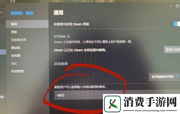 黑神话悟空DLSS帧生成问题怎么办DLSS帧生成问题解决办法