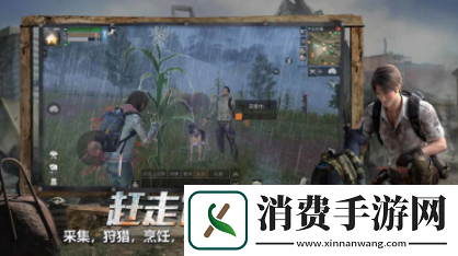 明日之后手游爱心稻谷怎么得