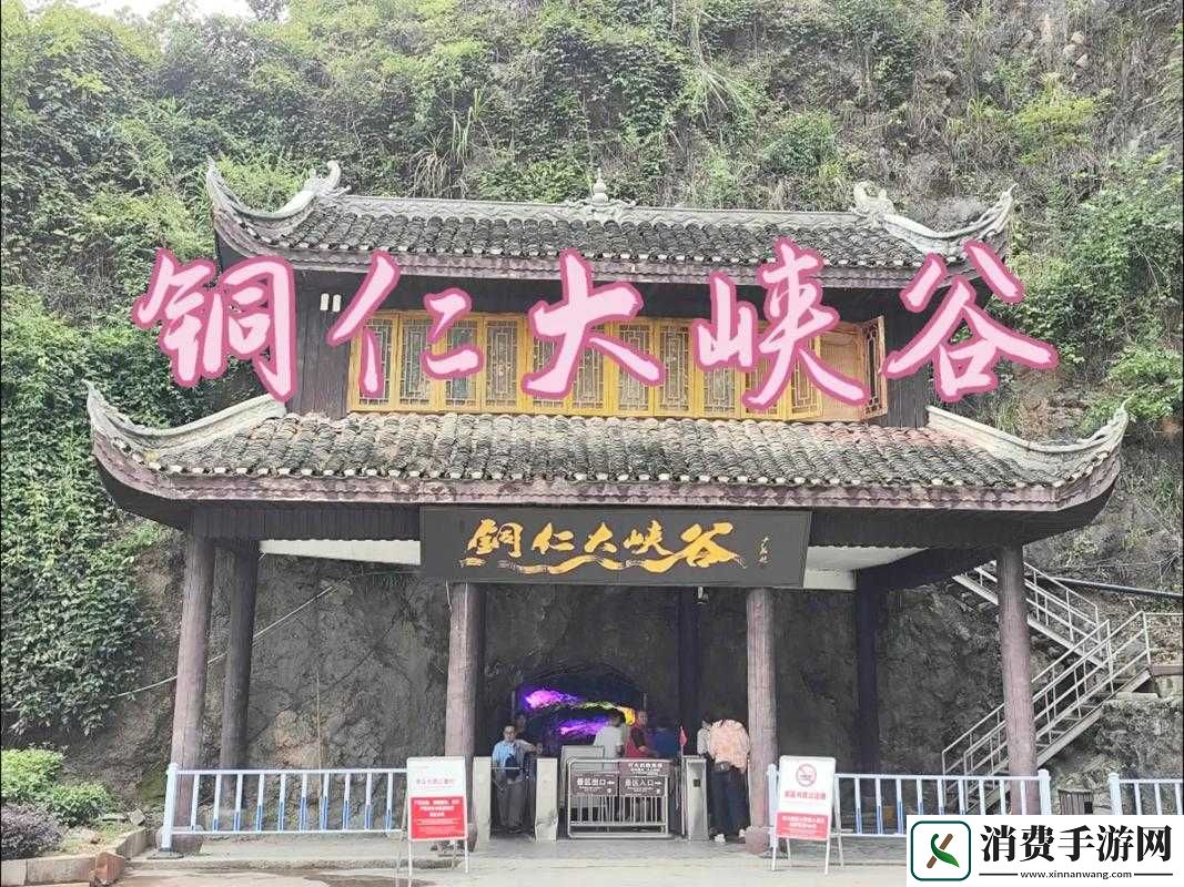 铜铜铜铜仁又大又深板的独特魅力
