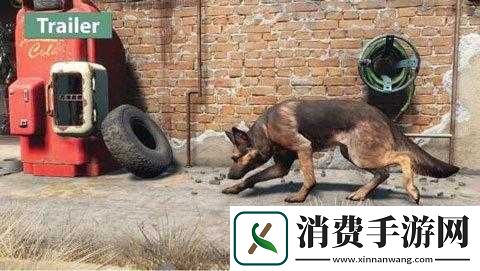 辐射4狗不见了怎么办-辐射4狗不见了怎么找方法介绍