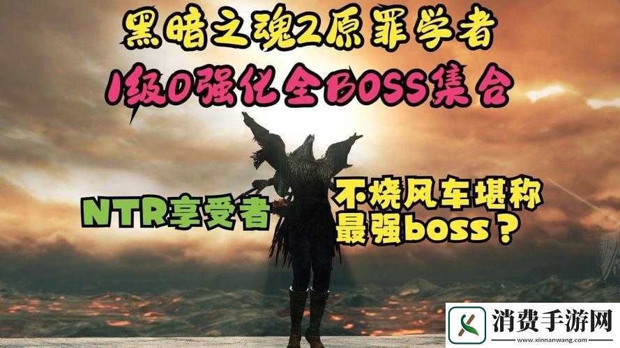 黑暗之魂2原罪学者营火怎么变蓝
