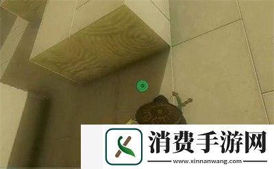 塞尔达传说王国之泪怎么通过欧罗奇乌姆神庙