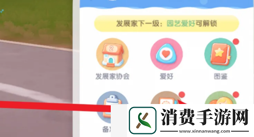 心动小镇怎么删除好友