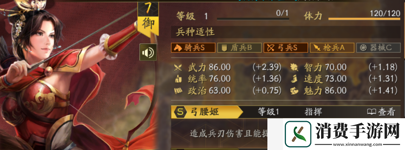 三国志战略版倾横阵容怎么玩