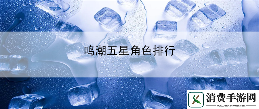 鸣潮五星角色排行：高效完成任务技巧分享