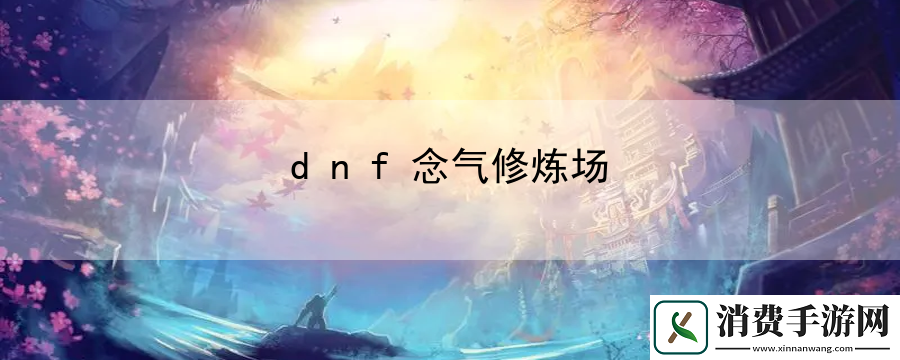 dnf念气修炼场：宠物技能选择与搭配