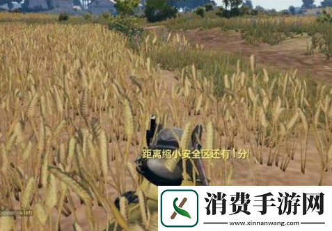 和平精英手游怎么防止被伏地魔偷
