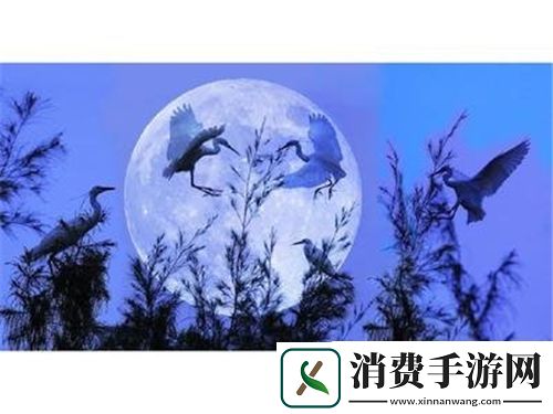奶瘾-骨科：婴儿骨骼健康的应对策略