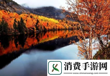 因为不吃姜被罚夹一年生姜：一年生姜挑战的由来与启示