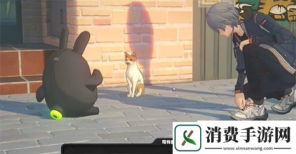 绝区零邦布券的作用是什么