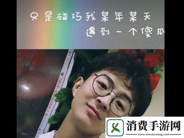 抖音只是碰巧我某年某月遇到一个傻瓜是什么歌