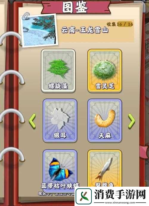 夺笋高手金钗石斛怎么获得-无价之宝获取方法
