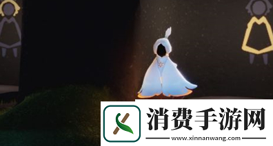 光遇白鸟斗篷怎么搭配好看
