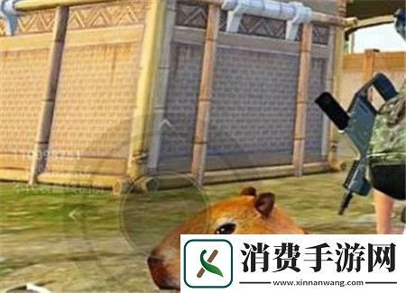 和平精英动物丛林全动物技能怎么样和平精英动物丛林全动物技能介绍