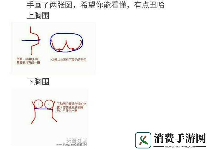 男人喜欢一只手能握满的胸围吗：胸围尺寸与爱情的微妙关系
