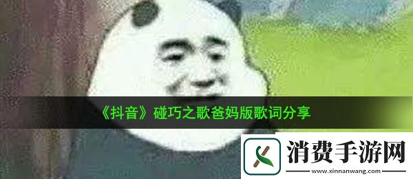 抖音只是碰巧我那年眼瞎看上了你爸爸是什么歌：碰巧之歌爸妈版歌词分享