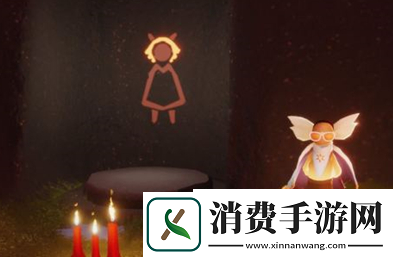 光遇白鸟斗篷怎么搭配好看