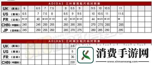 三叶草-M-码与欧洲码区别详解