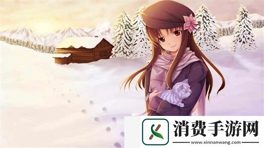 无人一区二区区别是什么:不同定位下的创新探索与合理布局