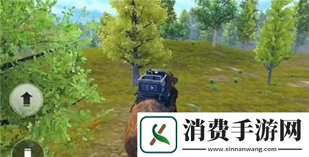 和平精英动物丛林全动物技能怎么样和平精英动物丛林全动物技能介绍