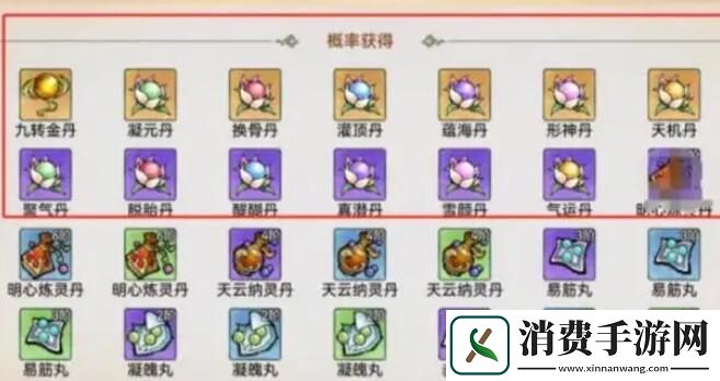 最强祖师弟子选择建议