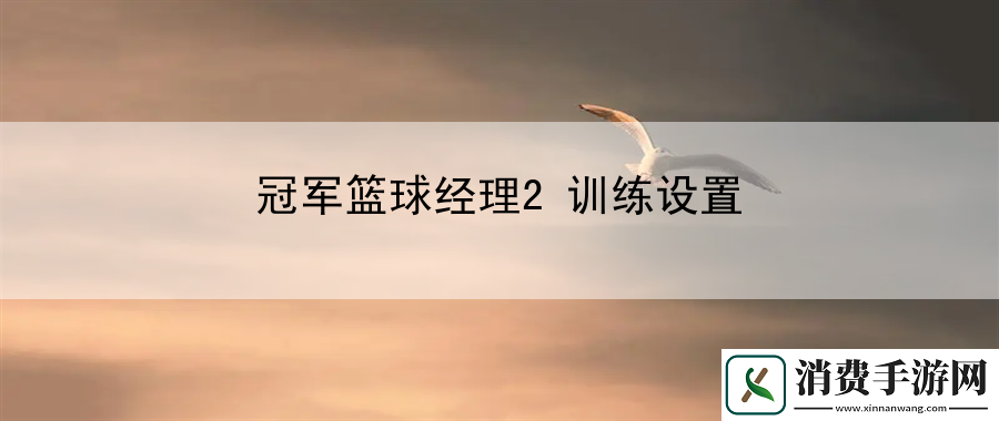冠军篮球经理2训练设置：战斗节奏掌控与运用